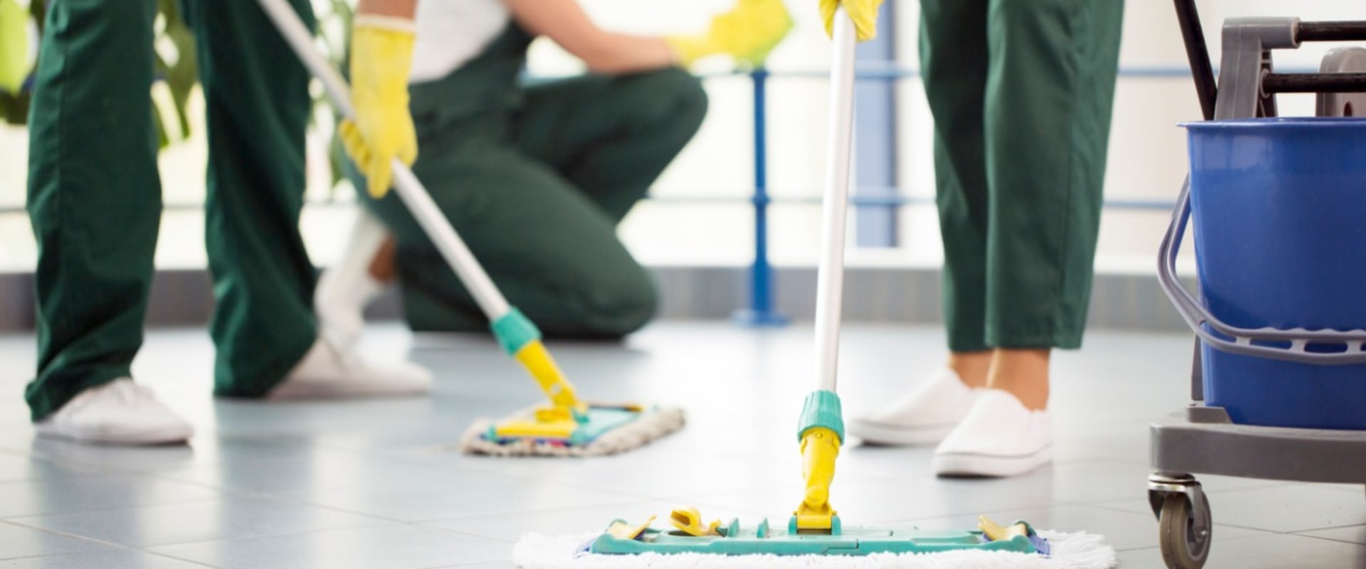 Marketing to Niche Audiences: Strategies for Success in the Cleaning Industry