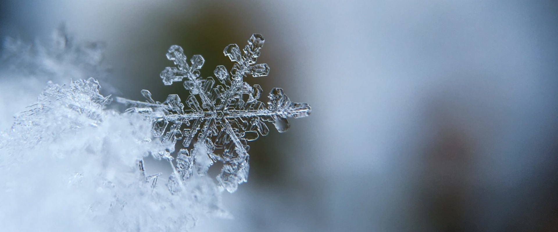 The Power of Centralized Data and Information for Cleaning Businesses